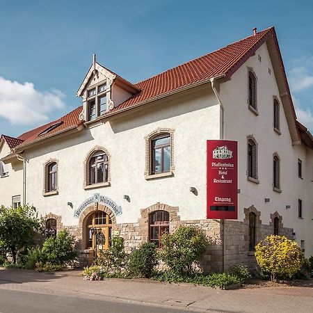 Hotel Pfaffenhofen Schwabenheim an der Selz Exterior photo